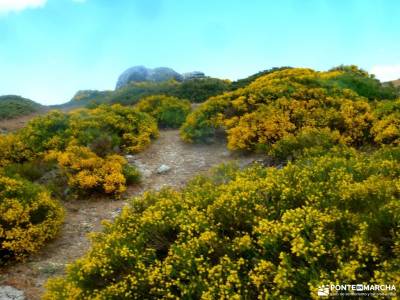 Siete Picos[Serie clásica]:Sierra del Dragón;puente de san isidro viajes octubre rutas senderismo 